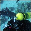 Plongée en mer rouge