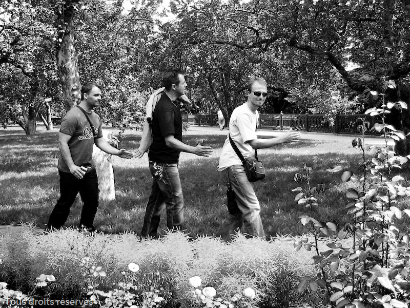 Tous droits réservés