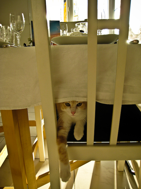 30.08.2008 - Soirée Culinaire S02E04 